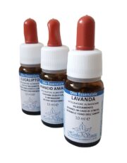 Olio essenziale di lavanda: proprietà, benefici e usi estivi per il benessere